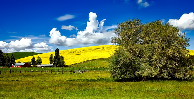 image of the city of Preston